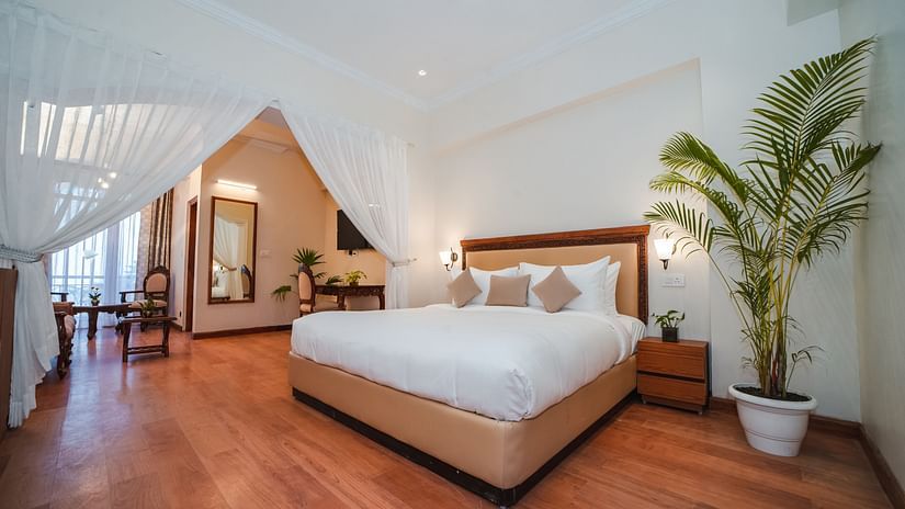 A well-lit room featuring plush bed and a plant next to the nightstand