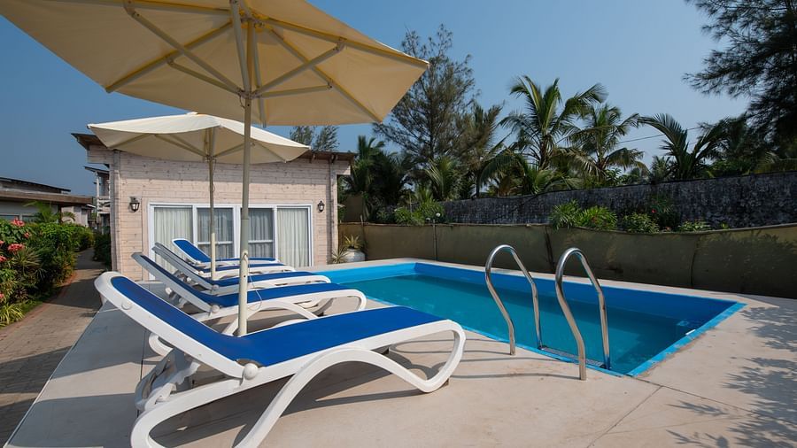 Swimming poolside view with pool loungers and umbrellas
