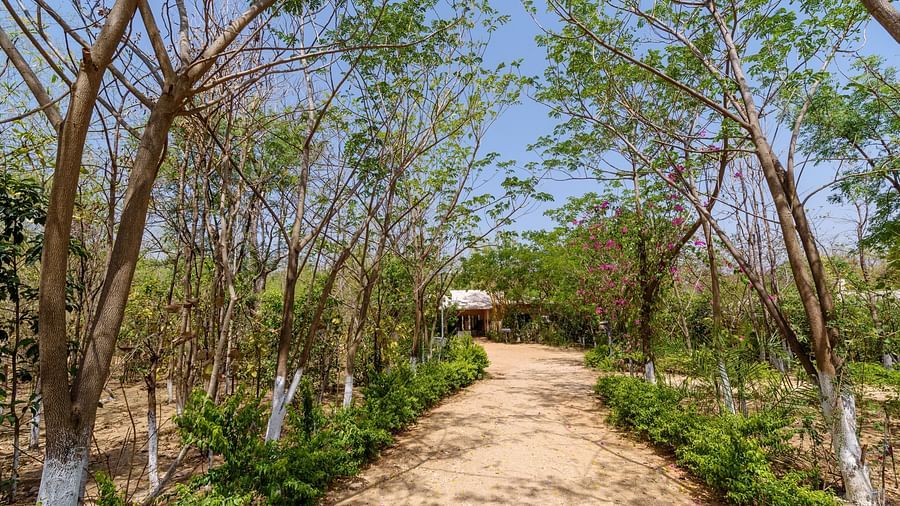 A wide angle view of the entrance of resort in Pench | The Riverwood Forest Retreat, Pench