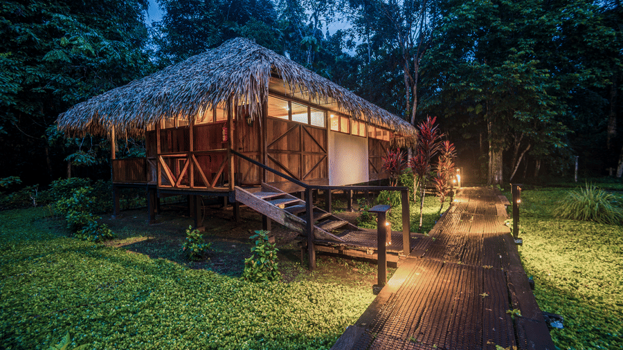 Best Jungle Resort in India for Luxury Stays & Forest Adventures
