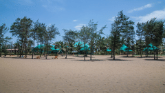 Premises of Chariot Beach Resort in Mahabalipuram 7