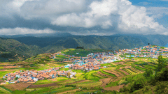 views of a city surrounded by lush greenery during daytime