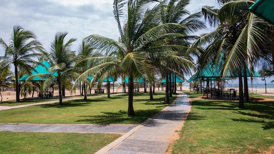 Premises of Chariot Beach Resort in Mahabalipuram 3