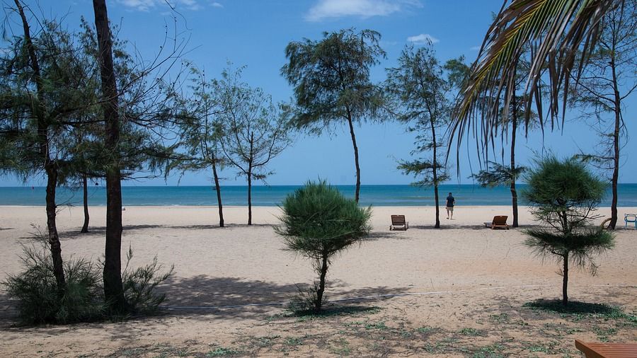 Premises of Chariot Beach Resort in Mahabalipuram 5