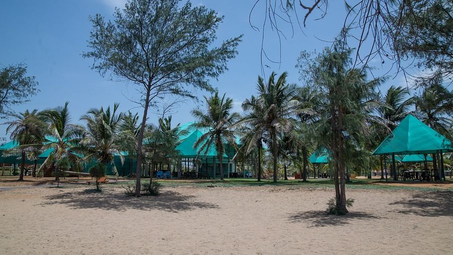 Premises of Chariot Beach Resort in Mahabalipuram 6