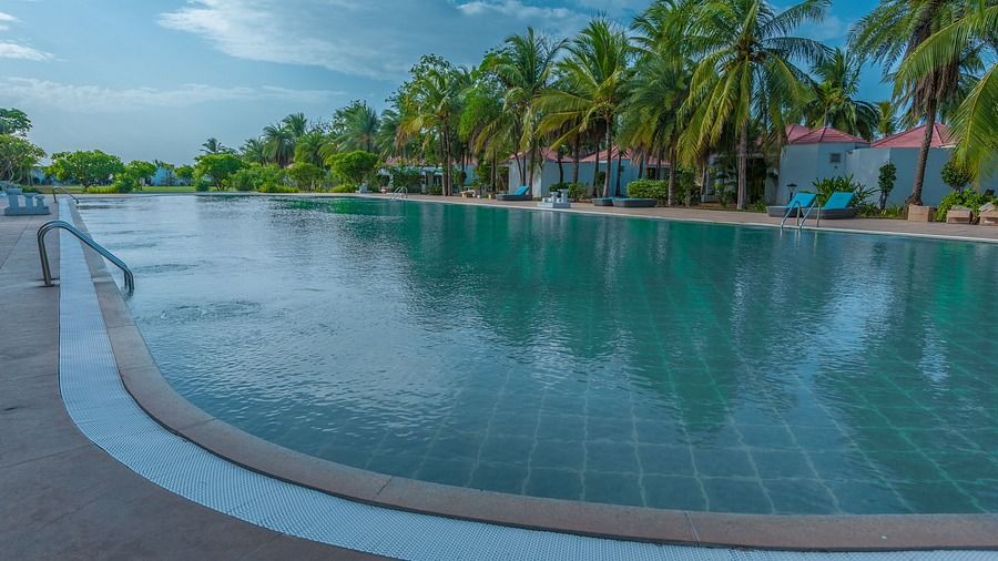 Swimming pool at Chariot Beach Resort in Mahabalipuram 6