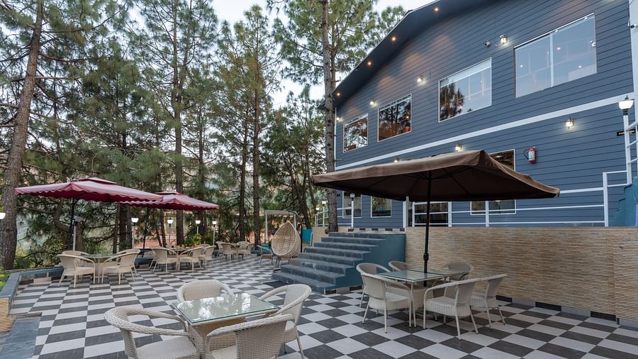 Outdoor dining area with glass-top tables and wicker chairs on a black-and-white checkered patio, adjacent to a dark blue building and surrounded by tall pine trees, with umbrellas providing shade - DLS Nature Trinket Resort, Dalhousie.