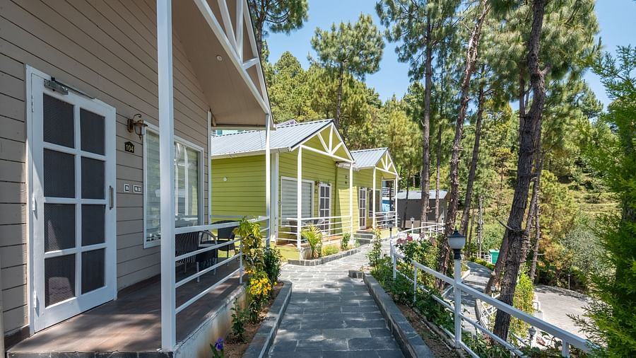 A paved pathway stretches between rows of cabins with light-coloured walls and dark window frames, nestled among tall green trees - DLS Nature Trinket Resort, Dalhousie.