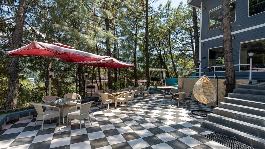 Outdoor patio with black-and-white checkered flooring, red umbrellas, beige seating, and a staircase leading to a grey building, surrounded by tall pine trees - DLS Nature Trinket Resort, Dalhousie.