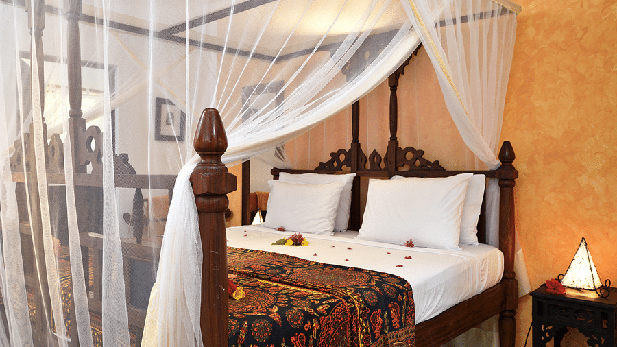 Garden Boutique Hotel Room 2