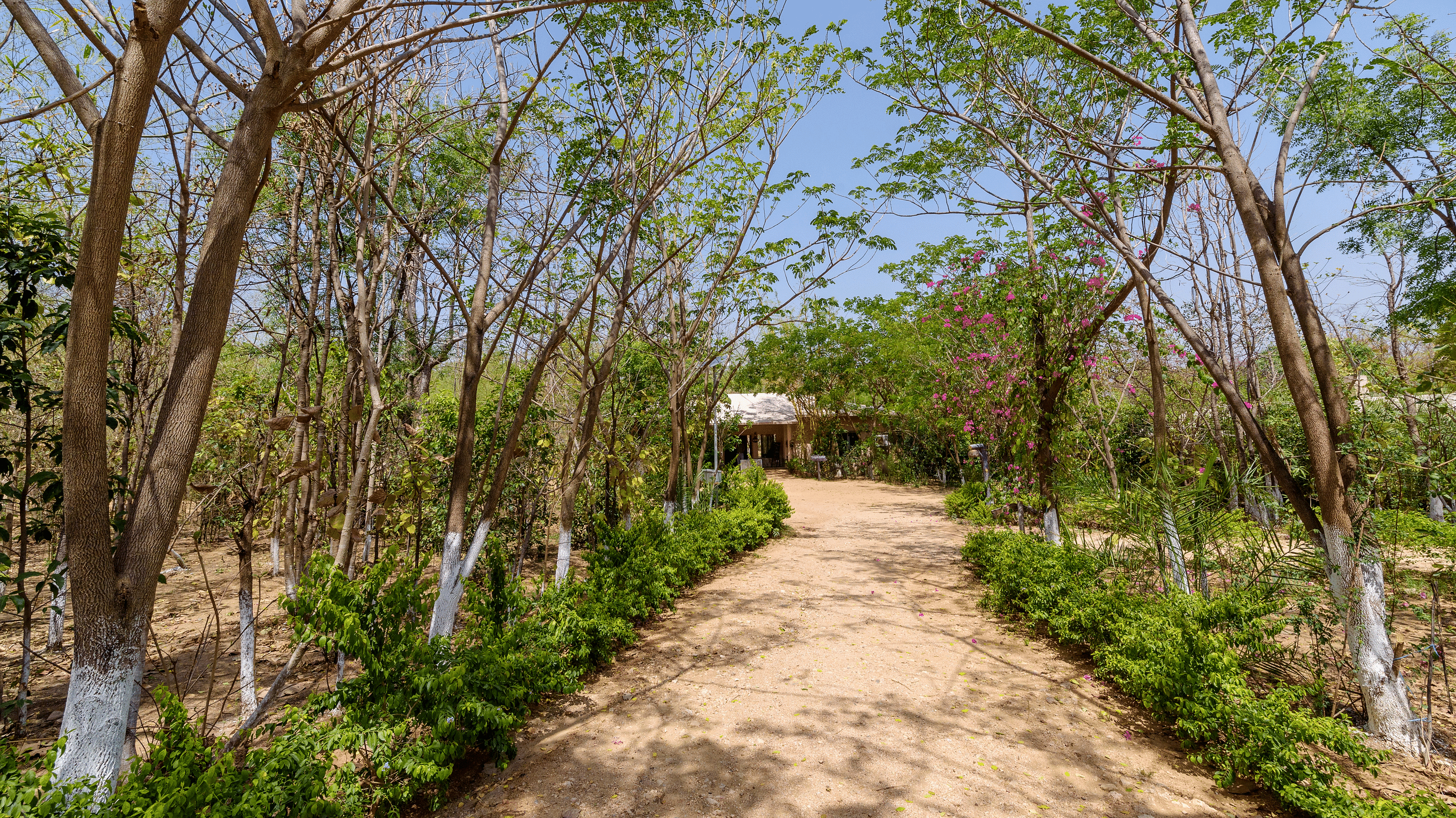 A wide angle view of the entrance of resort in Pench | The Riverwood Forest Retreat, Pench