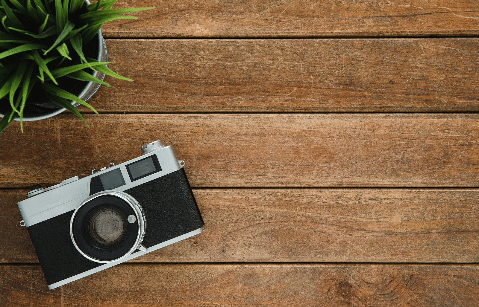 A camera resting on a wooden table, with a small potted plant in the top left corner.