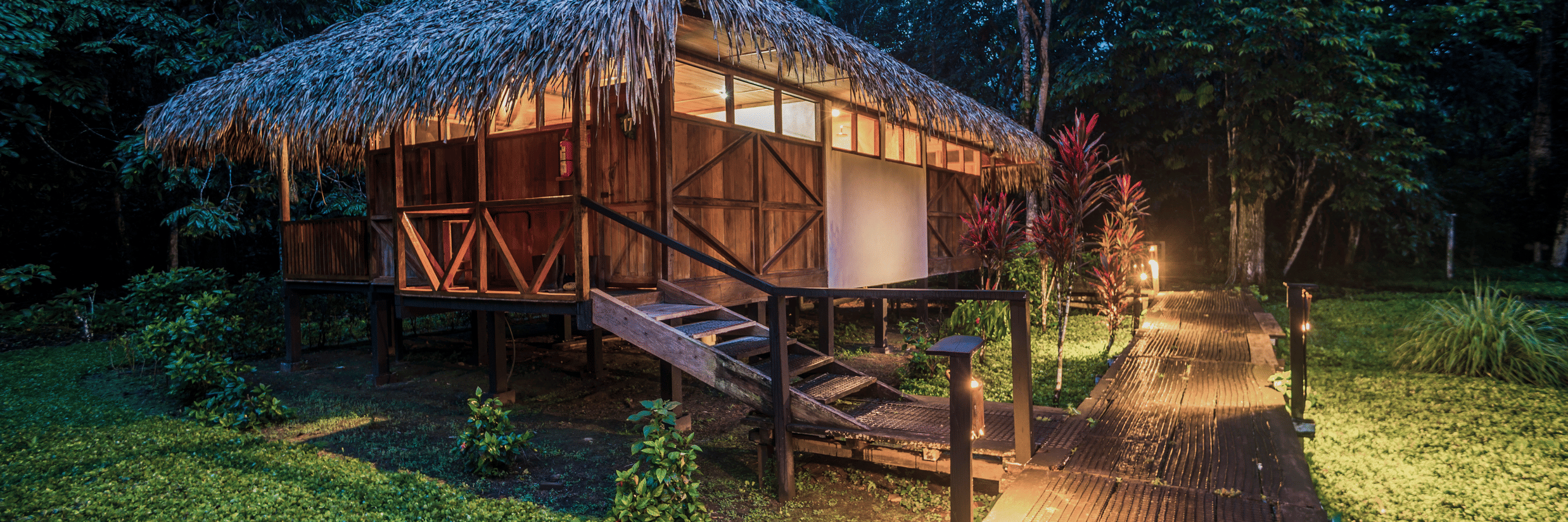 Best Jungle Resort in India for Luxury Stays & Forest Adventures