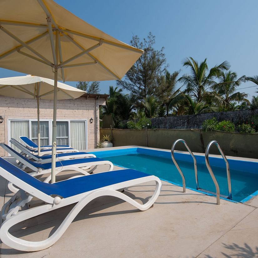 Swimming poolside view with pool loungers and umbrellas