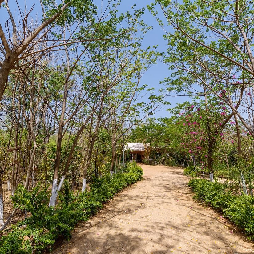 A wide angle view of the entrance of resort in Pench | The Riverwood Forest Retreat, Pench