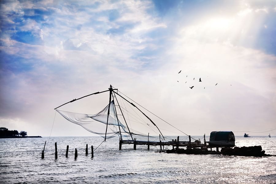 chinese nets