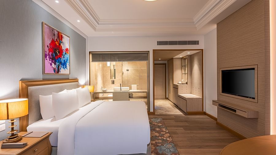 a double bed, side table with a lamp on it, and a television inside one of the rooms at Park Plaza, Jalandhar