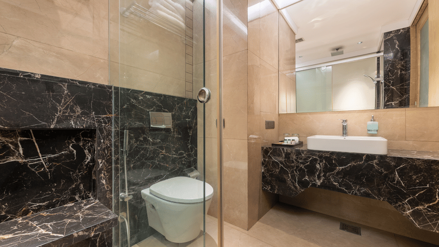 A bathroom with a toilet, sink, mirror, glass shower area, and marble wall panels at DLS Hotels Amritsar.