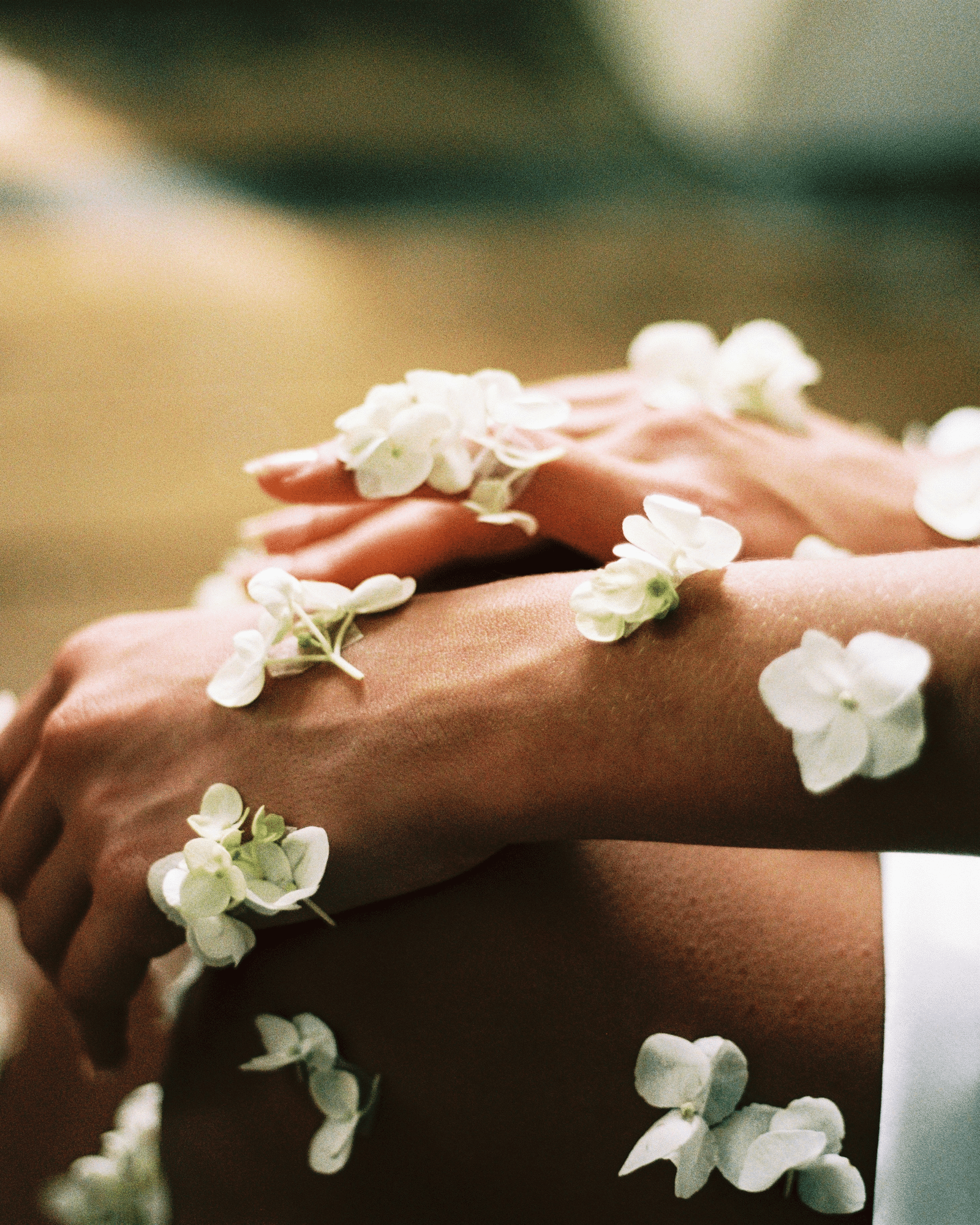 flower petals delicately balanced on a person's hands and legs