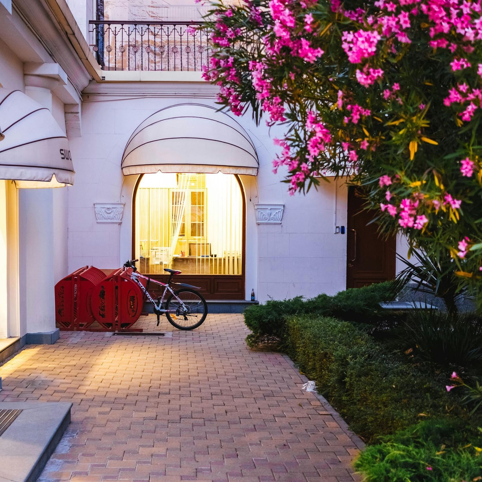 The facade of a building with a flowering plant adding a touch of colour on the side.