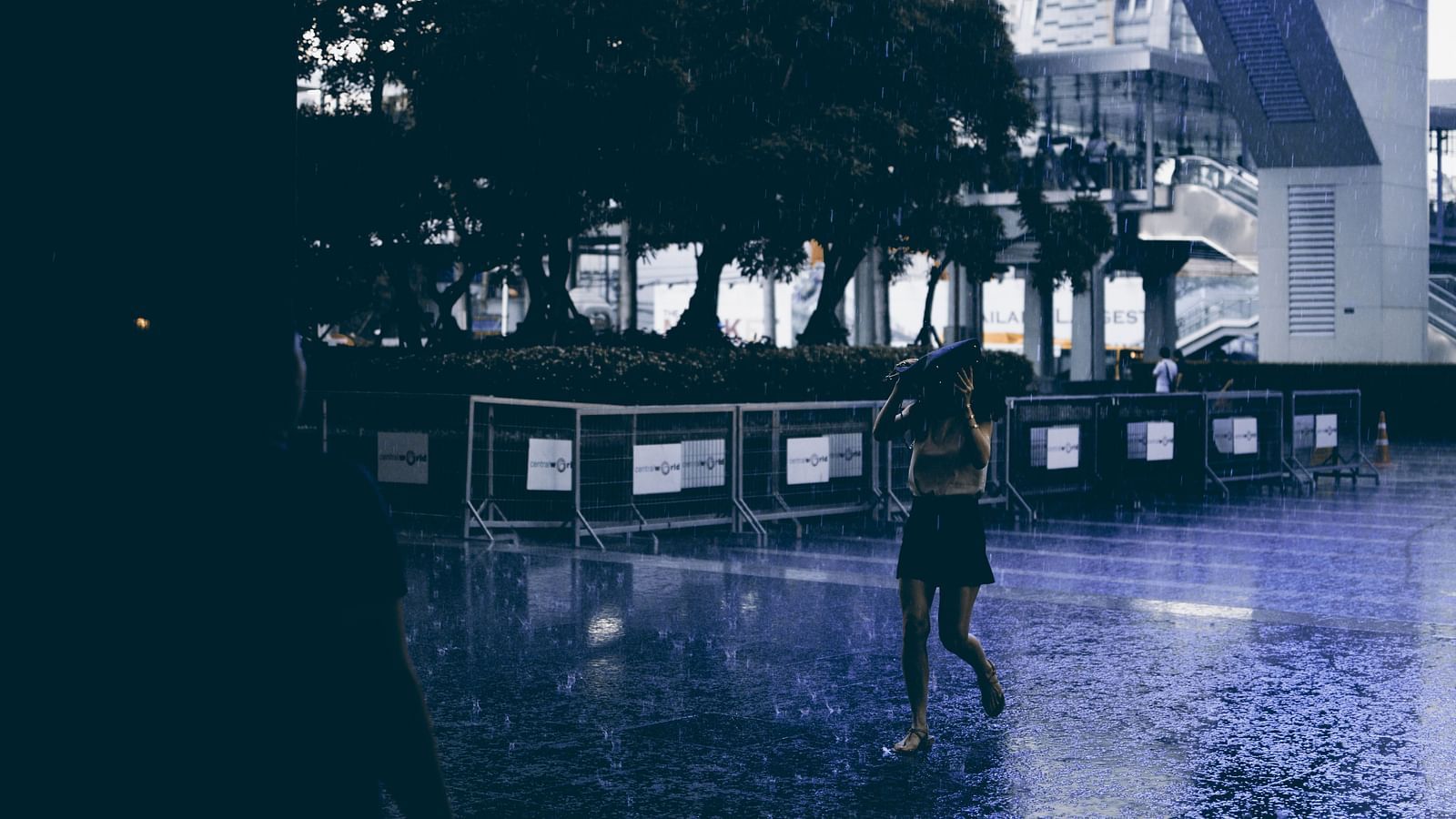 A woman walking in the rain with many trees next to it.