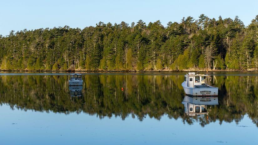a lake with boats on it and forest full of trees and blue skies in the background 