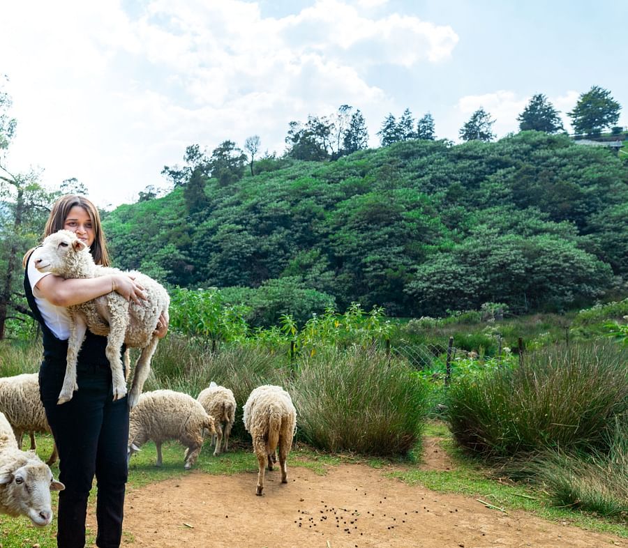 a woman holding a baby sheep
