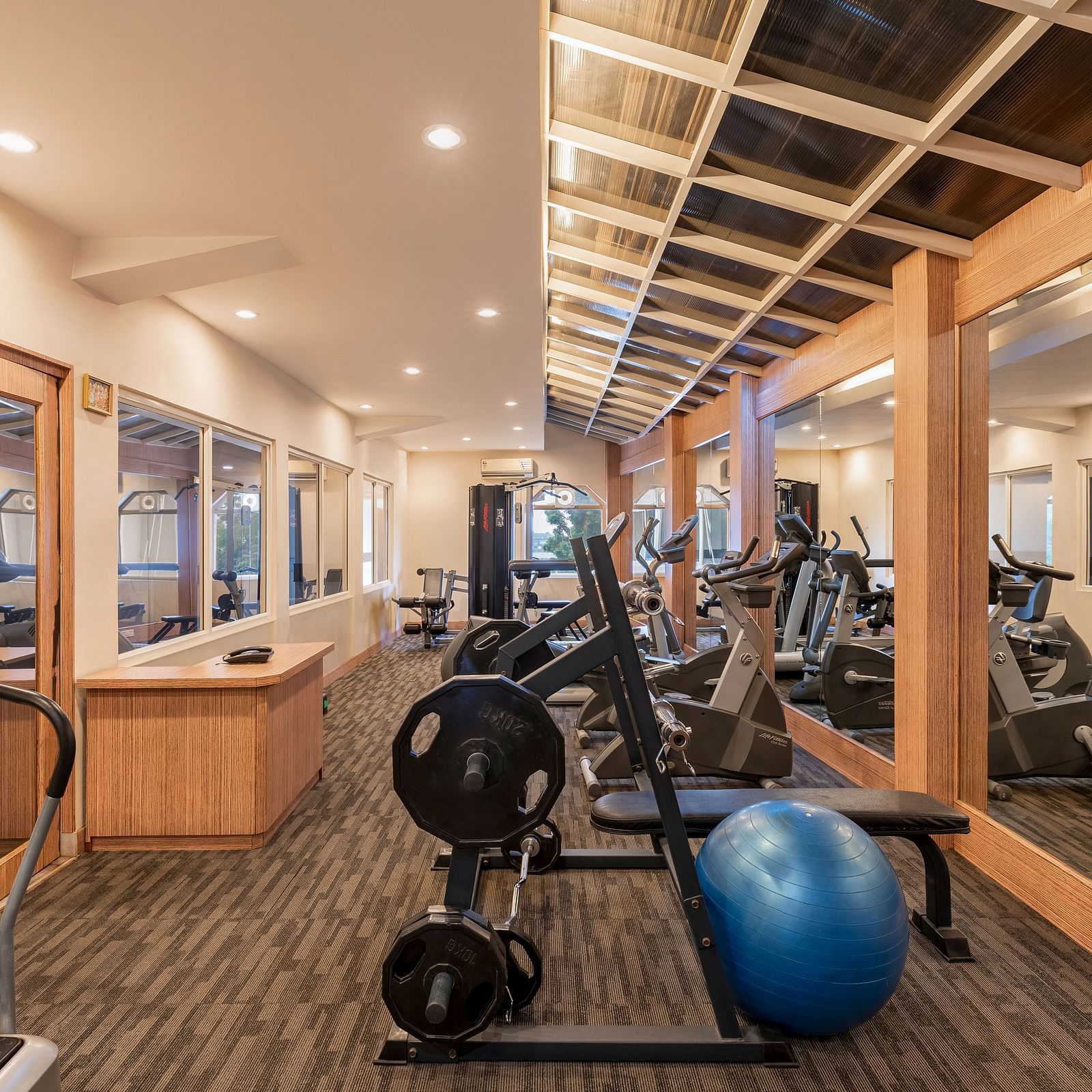 Shot of the gym with different equipment aligned in an order - Hotel Rajdarshan, Udaipur.