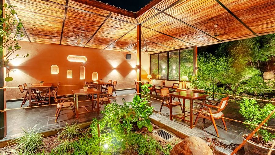 Interior view of a botanical bar, with short plants, wooden chairs and tables, and simple lighting in the photo.
