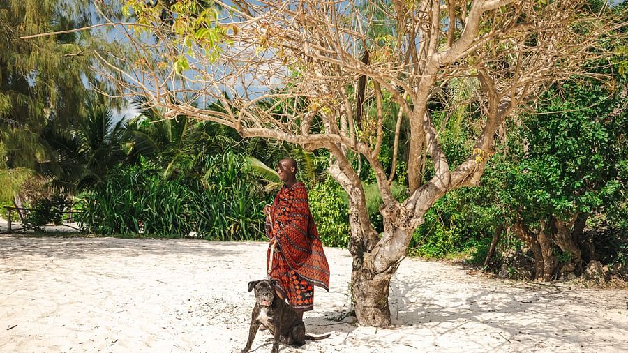 A man in a patterned robe stands with a dog under a tree on a sandy beach at Shooting Star boutique hotel.