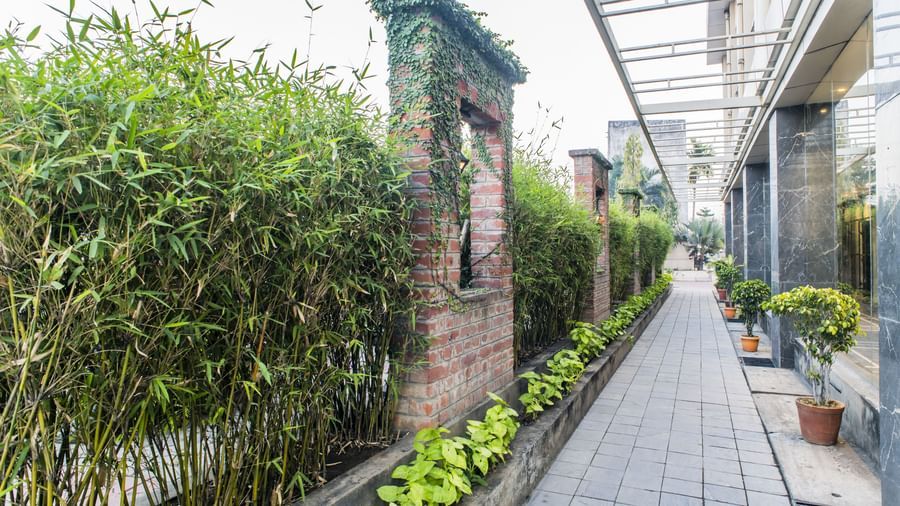 A pathway with greenery around The Citi Residenci Hotel, Asansol.