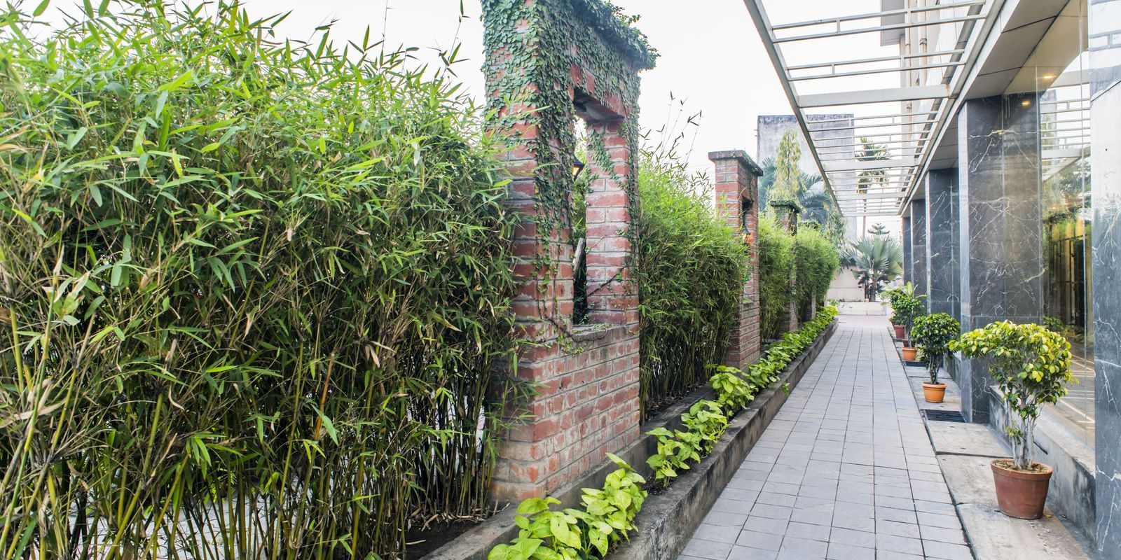 A pathway with greenery around The Citi Residenci Hotel, Asansol.
