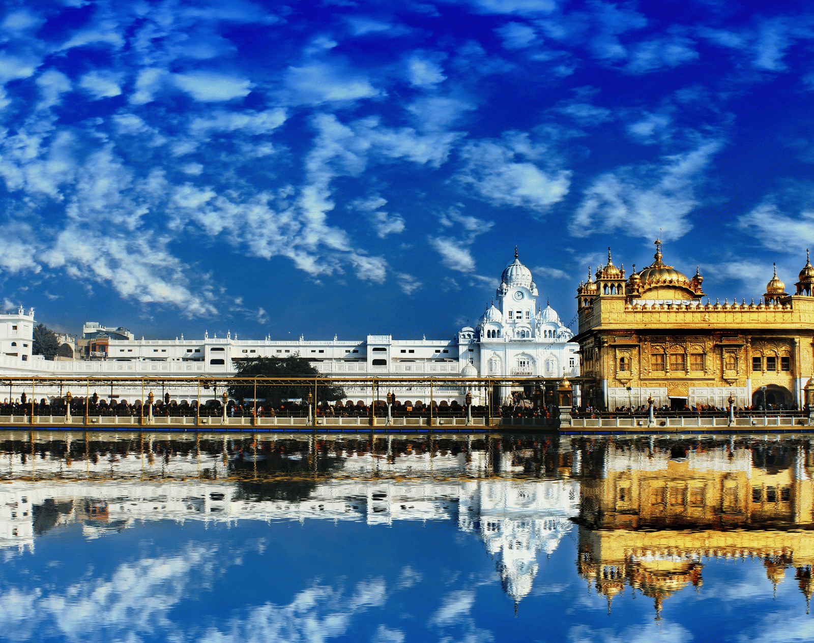 The Golden Temple reflected in the surrounding water under a bright blue sky with white clouds, showing the main structure and surrounding buildings