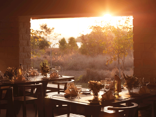 Interior view of Wildgrass restaurant at The Serai Kabini showing dining tables set with plates, glasses, and cutlery, facing an open wall with trees and sunlight visible outside.
