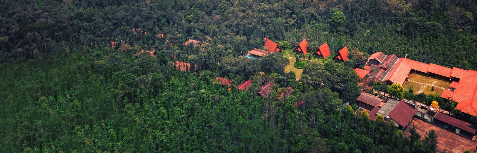 DJI 0010 copy