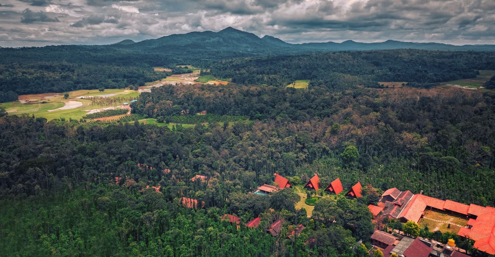 DJI 0010 copy