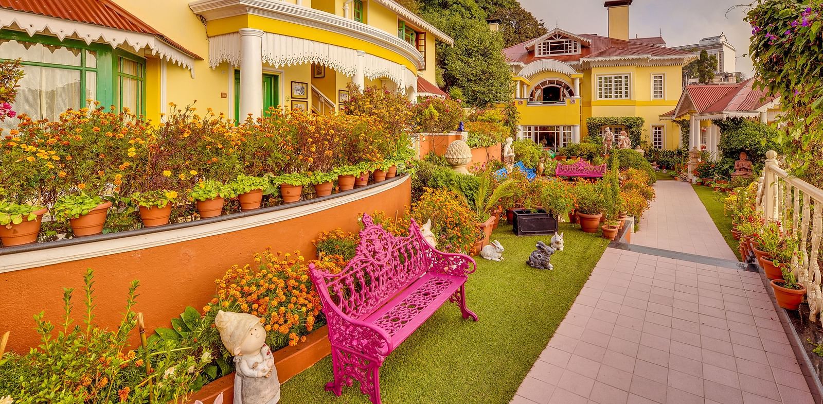 view of a part of the resort and a pink bench on the left side - Mayfair Himalayan Spa Resort Kalimpong