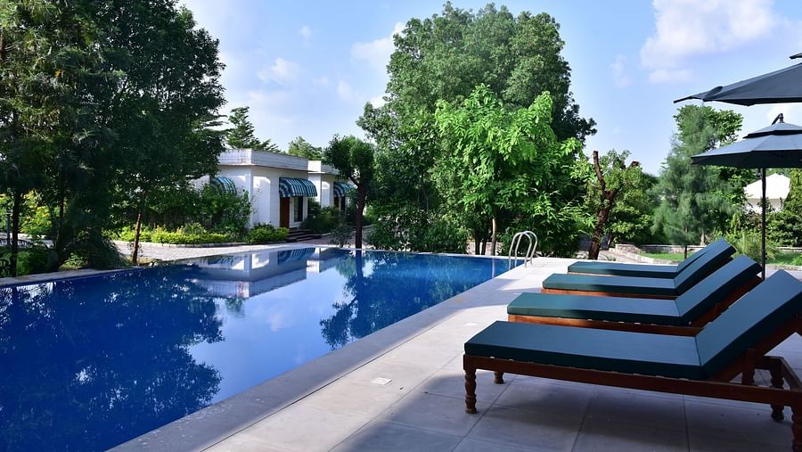 Clean swimming pool at Clarks Safari, Ranthambore, surrounded by lush greenery and comfortable sun loungers.