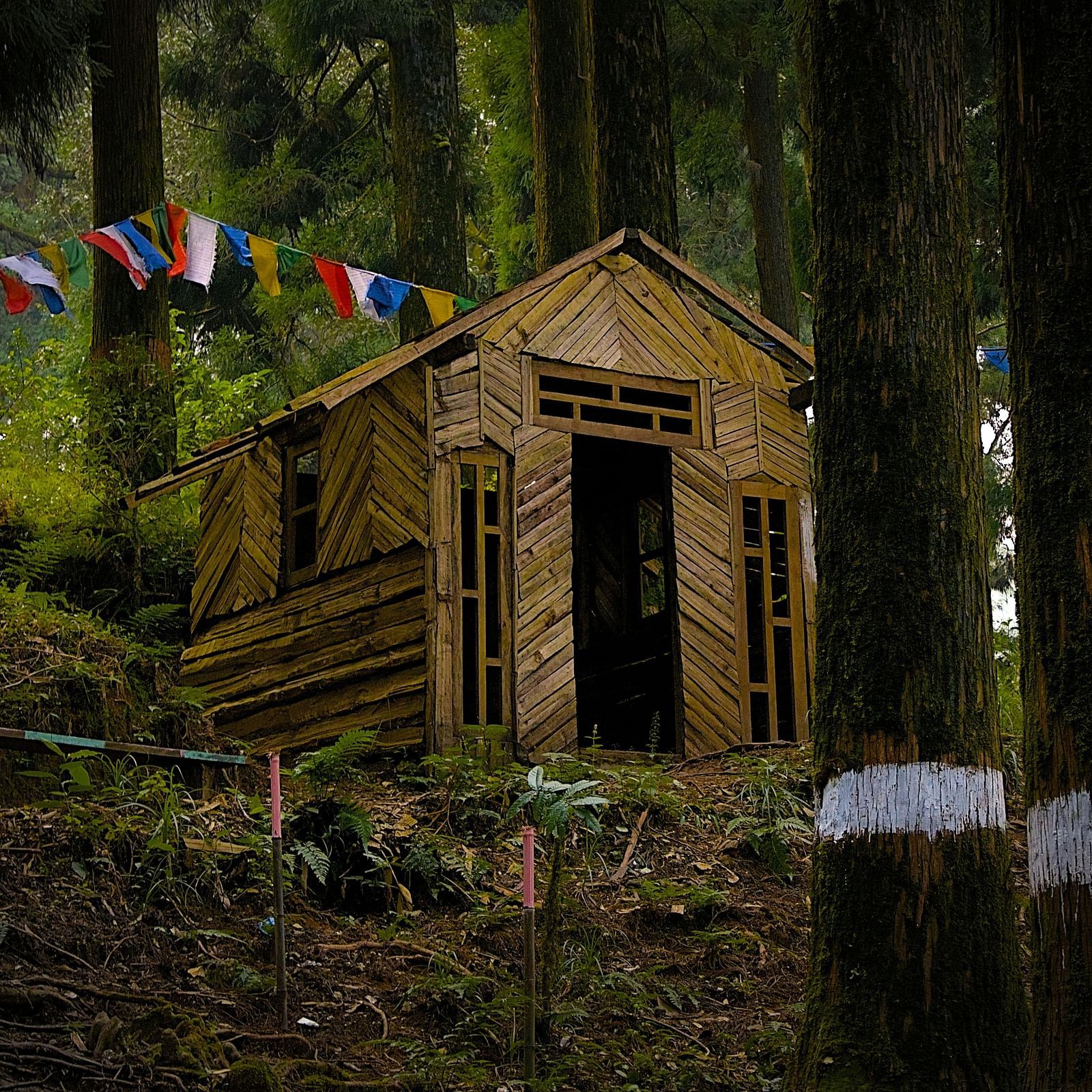 Traditional wooden hut nestled in the pine forests of Kurseong, surrounded by prayer flags.
