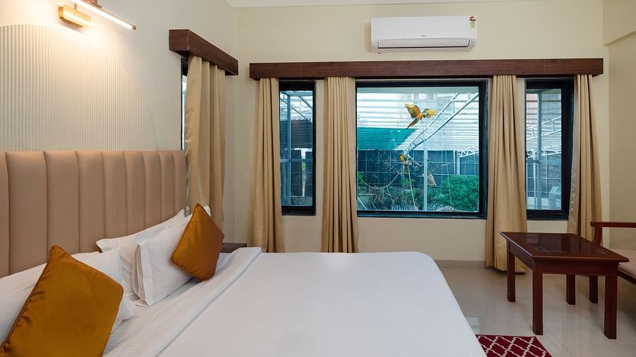 15 Aviary View Suite
