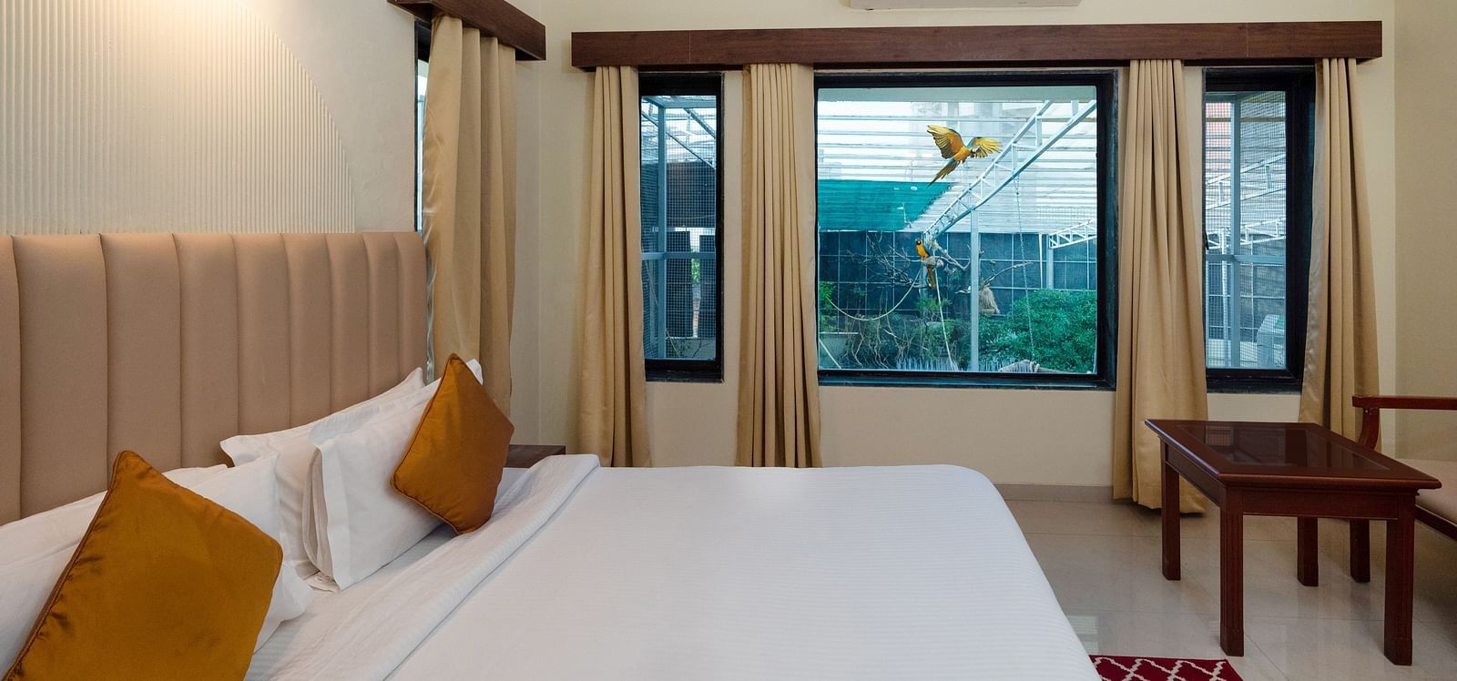 15 Aviary View Suite