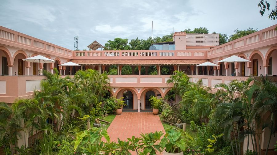 Resort property surrounded by greenery and various kinds of plants.