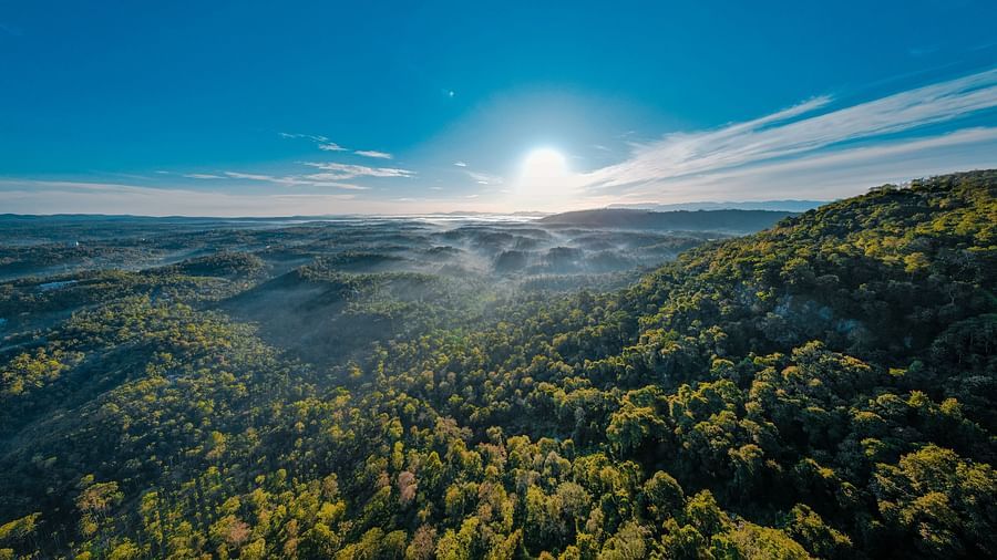 DJI 0060-2