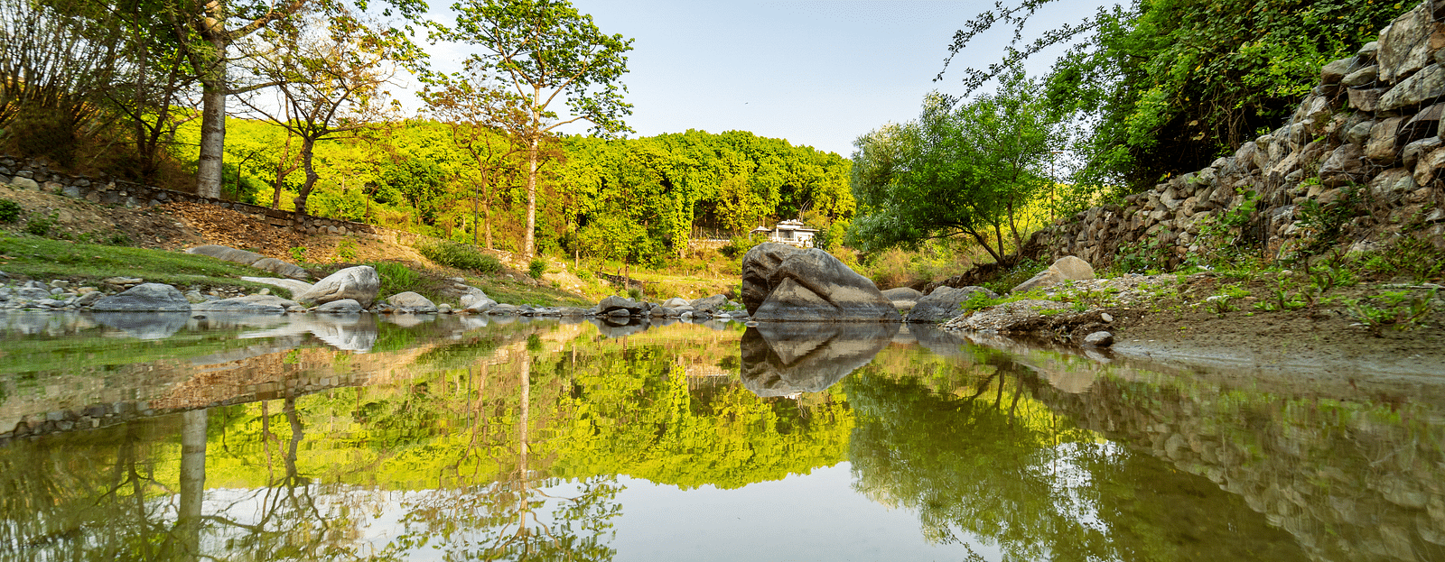 A view of the brook surrounded by lush greenery at The Sylvan Retreat, Dehradun.