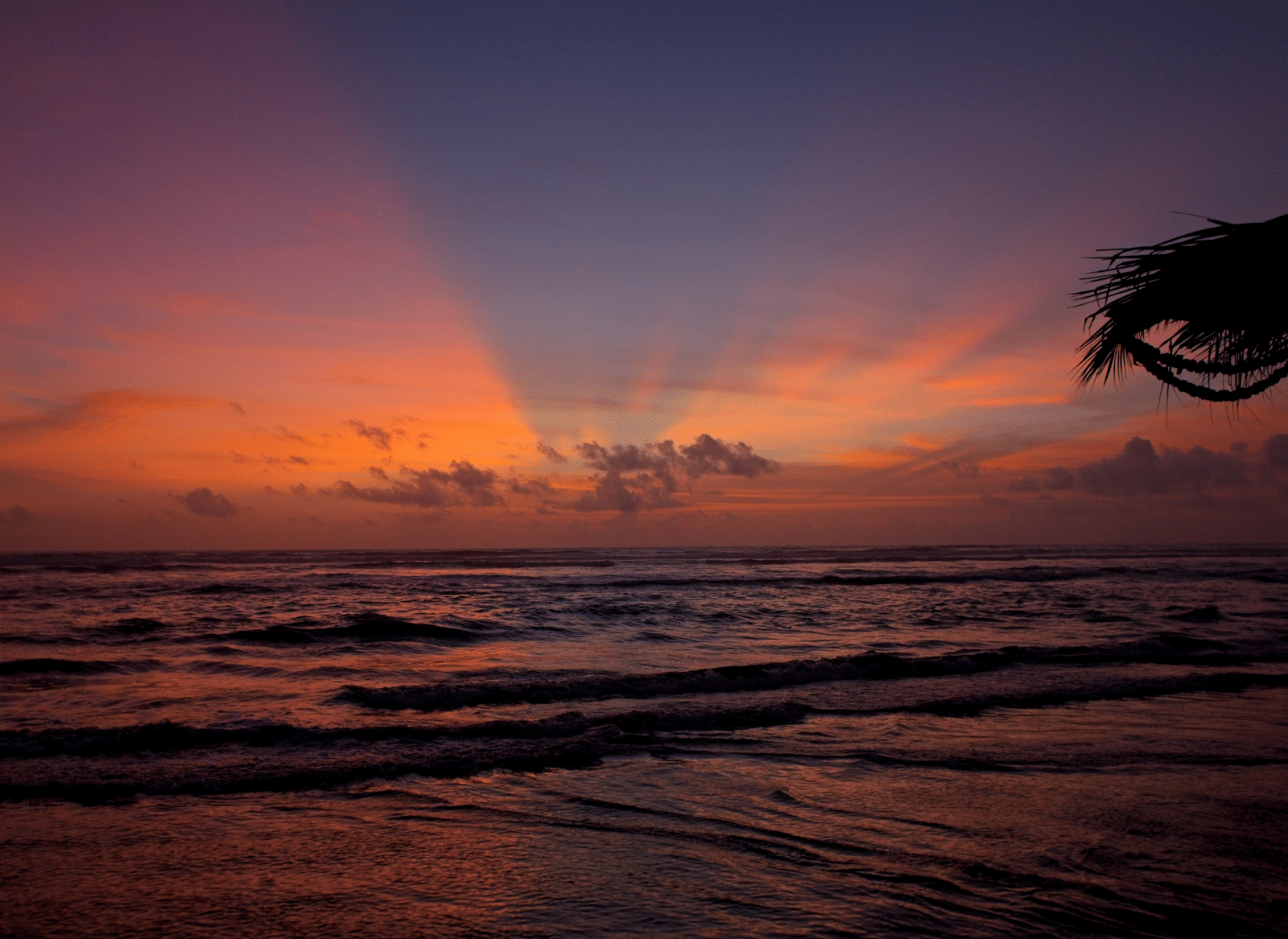 A sunset at Morjim Beach in Goa, with the sun lighting the sky in hues of orange, seen from the shore.