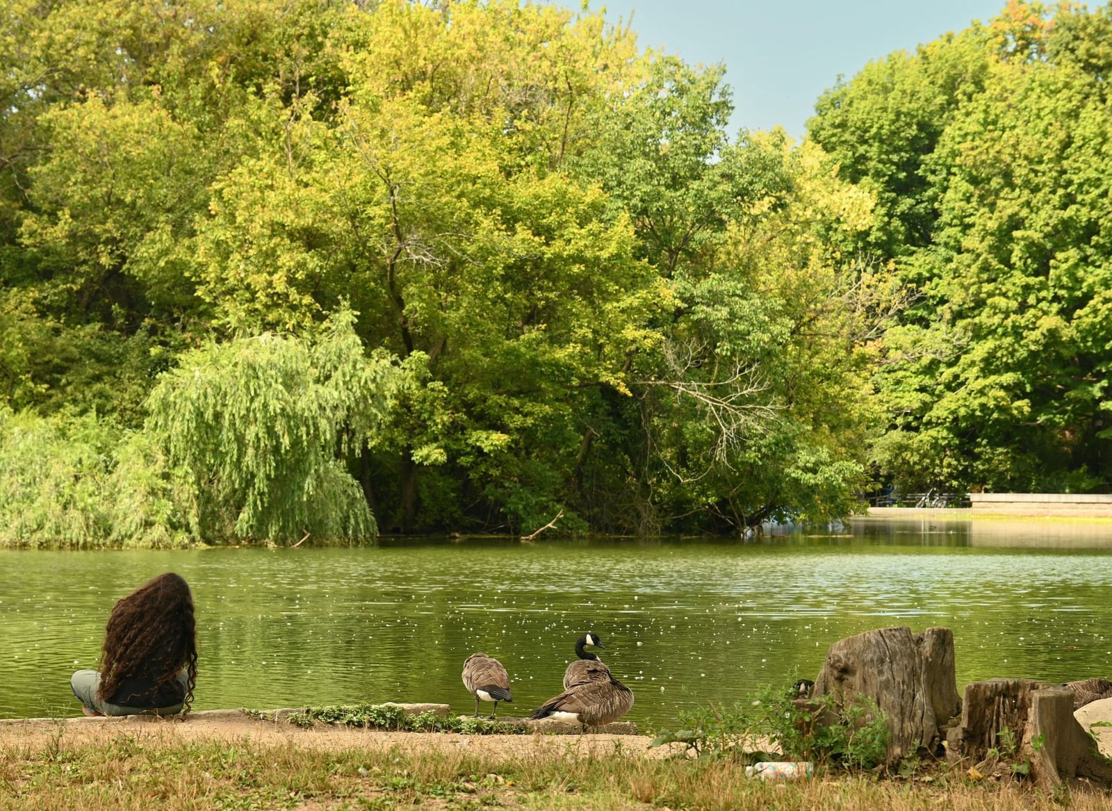 A lake surrounded by green trees with two ducks and a woman resting near the water’s edge.