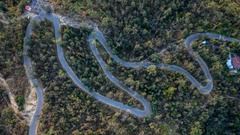 Hairpin road amidst green pine trees.
