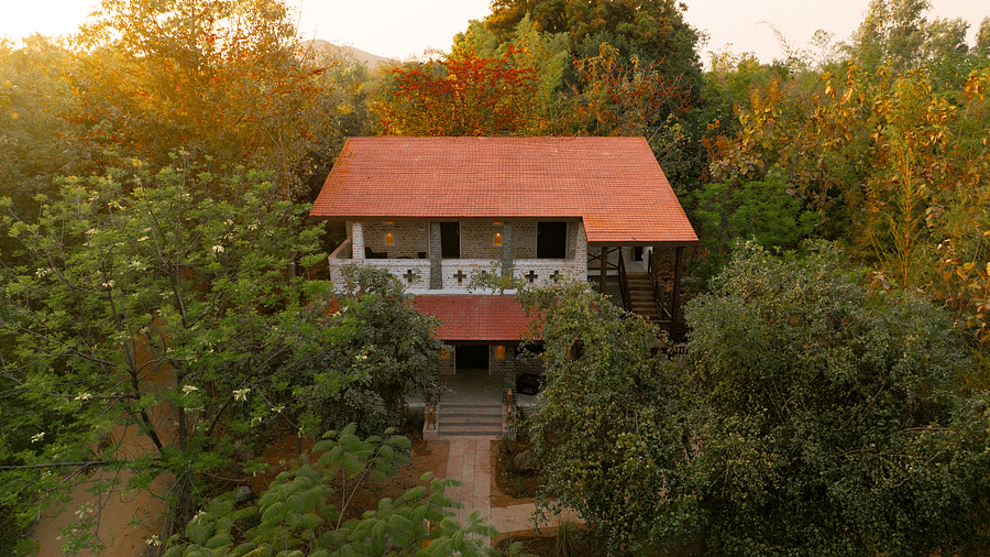 Tendu Leaf Jungle Resort 2025-70