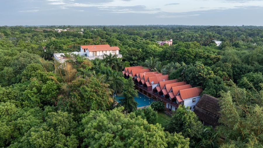 Top view of  the resort surrounded by trees.