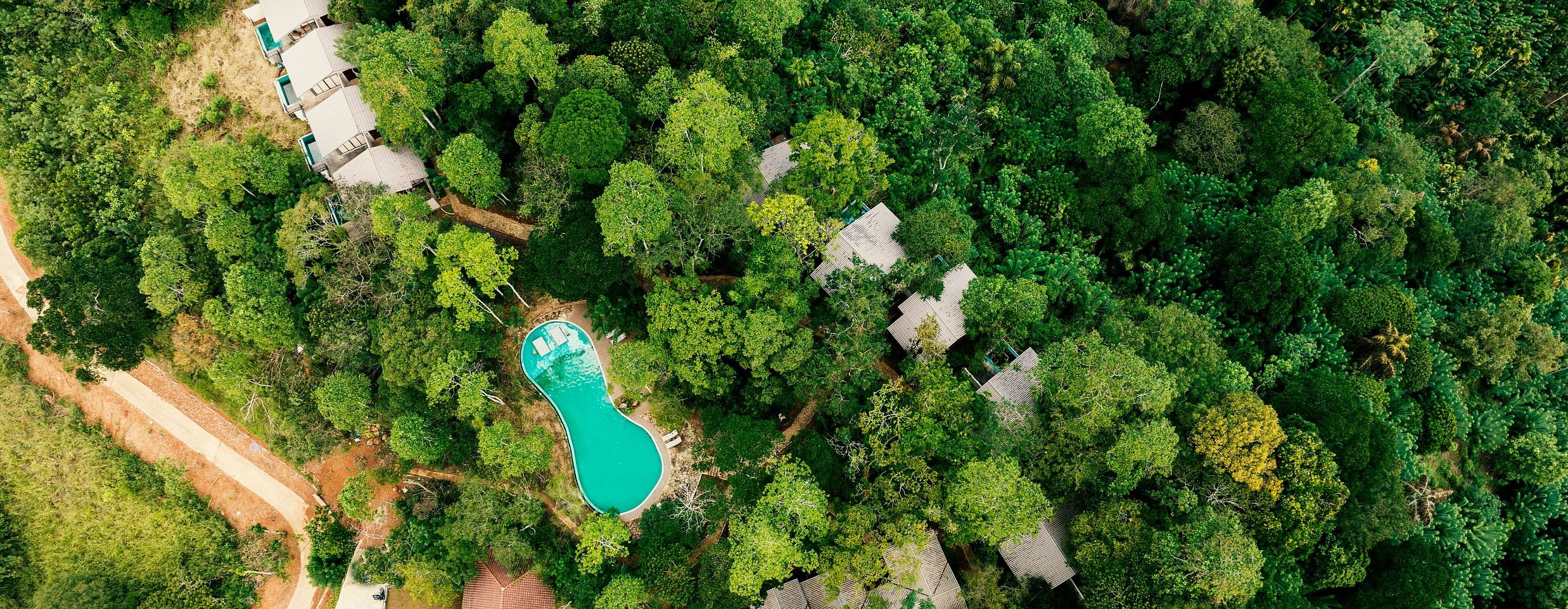 An overhead shot of our villas and pools cuddled by trees | Celestial Hills - Villas & Suites in Kandy